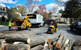  Gasport, NY Tree Services Pros